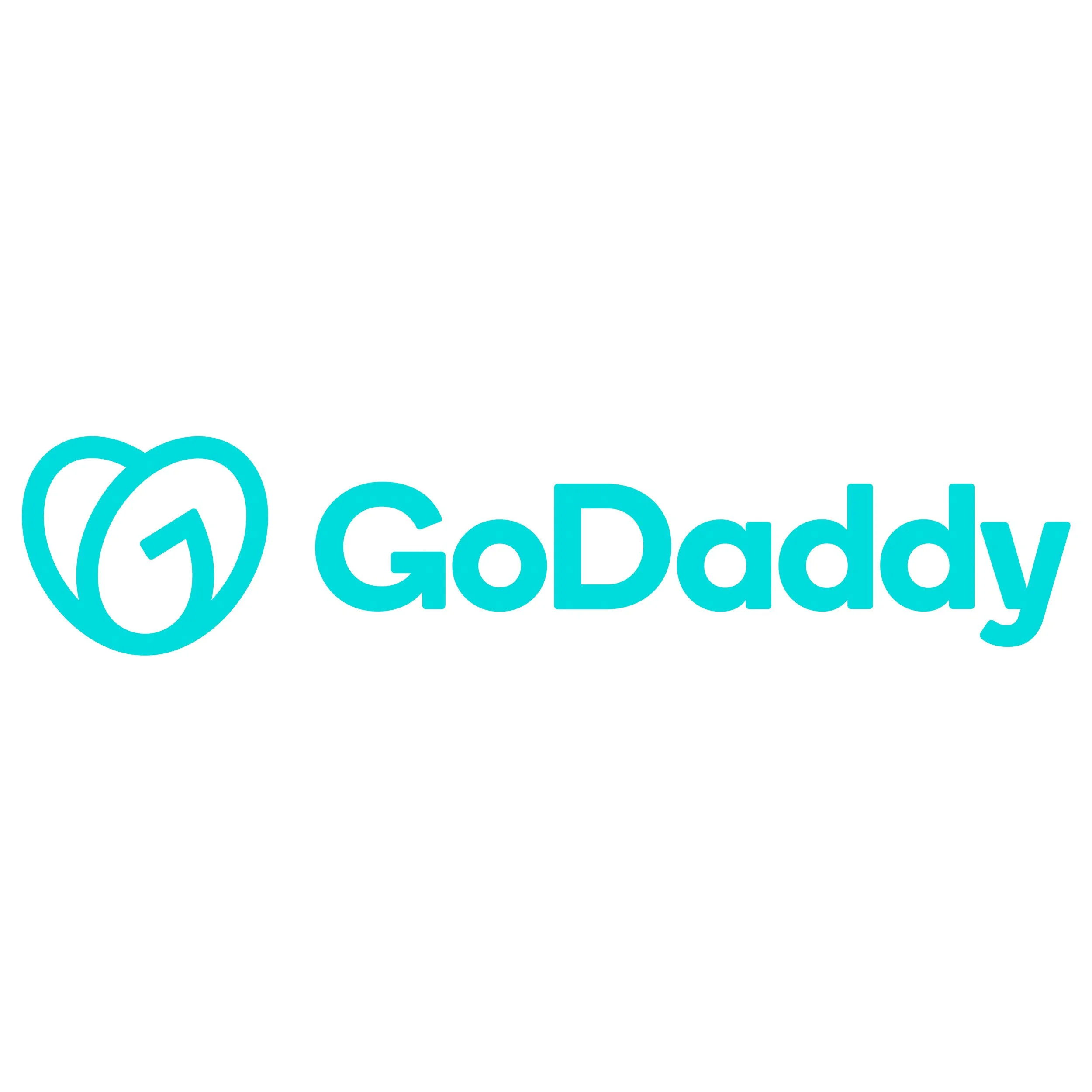 GoDaddy Corporate Event in Savannah Georgia